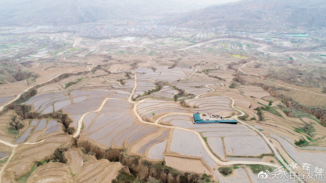 dy业务代啊陌代